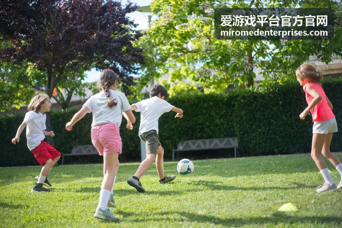 官方公告与政策说明