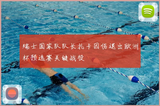 瑞士国家队队长扎卡因伤退出欧洲杯预选赛关键战役