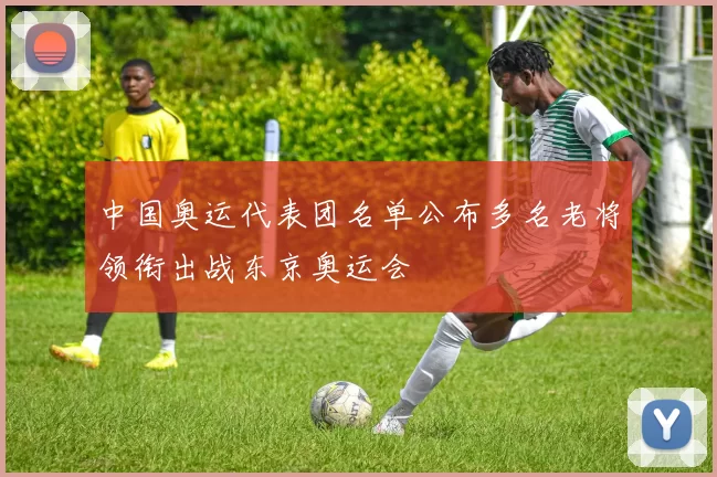 中国奥运代表团名单公布多名老将领衔出战东京奥运会