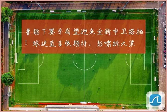 鲁能下赛季有望迎来全新中卫搭档！球迷直言很期待，彭啸挑大梁