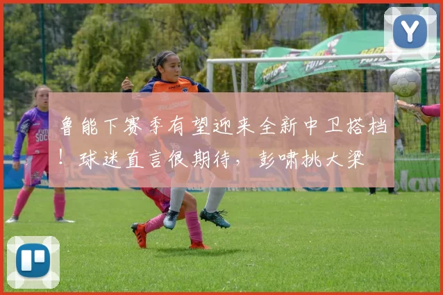 鲁能下赛季有望迎来全新中卫搭档！球迷直言很期待，彭啸挑大梁