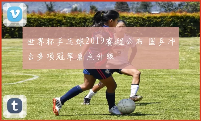 世界杯乒乓球2019赛程公布 国乒冲击多项冠军看点升级