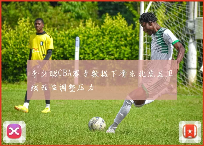 李少聪CBA赛季数据下滑东北虎后卫线面临调整压力