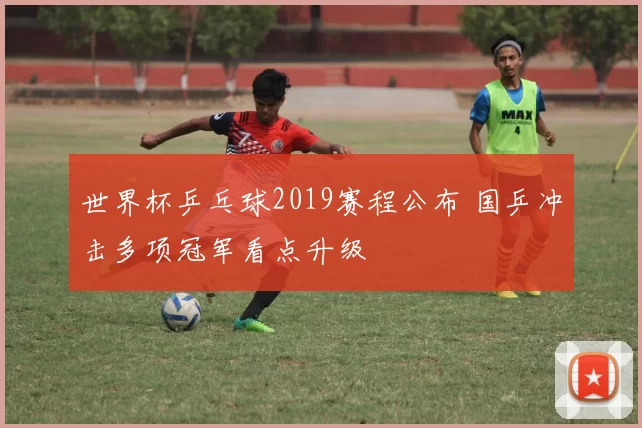 世界杯乒乓球2019赛程公布 国乒冲击多项冠军看点升级