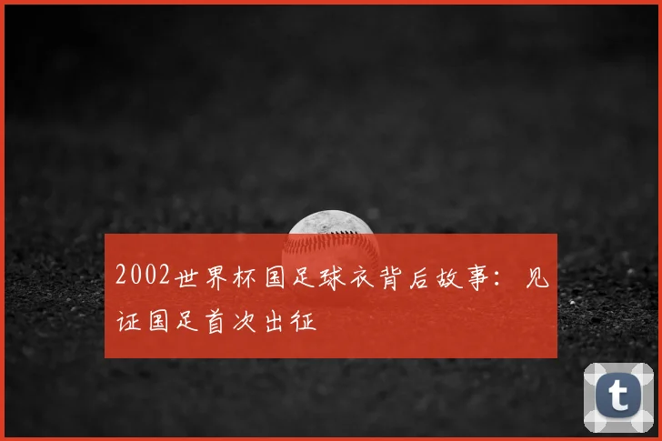 2002世界杯国足球衣背后故事：见证国足首次出征